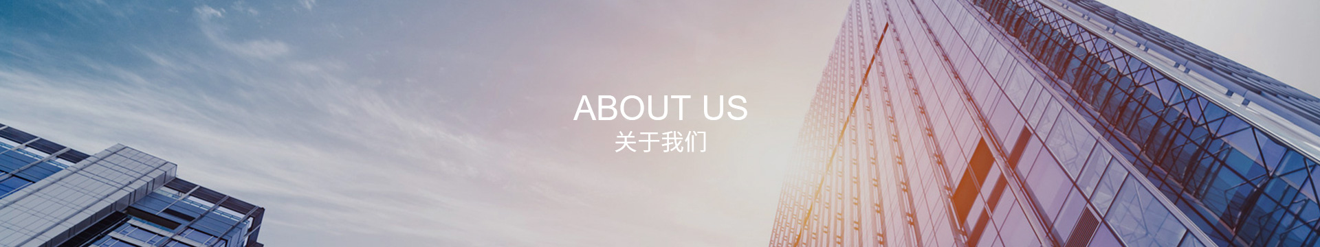 案例展示